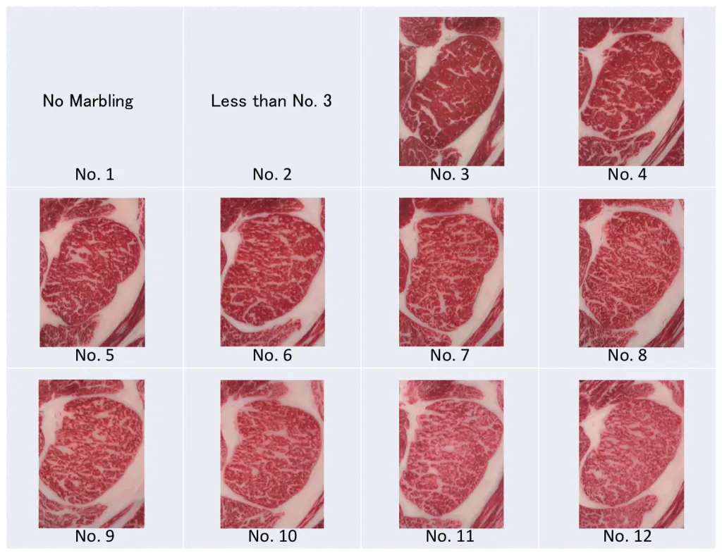 Japansk Wagyu BMS score illustration