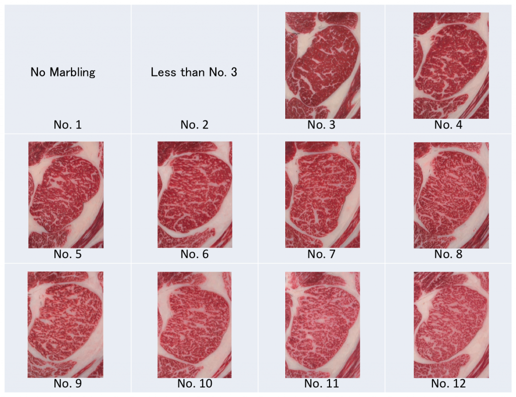 Japansk Wagyu BMS score illustration